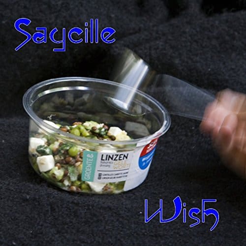 Saycille’s First Single ‘Wish’